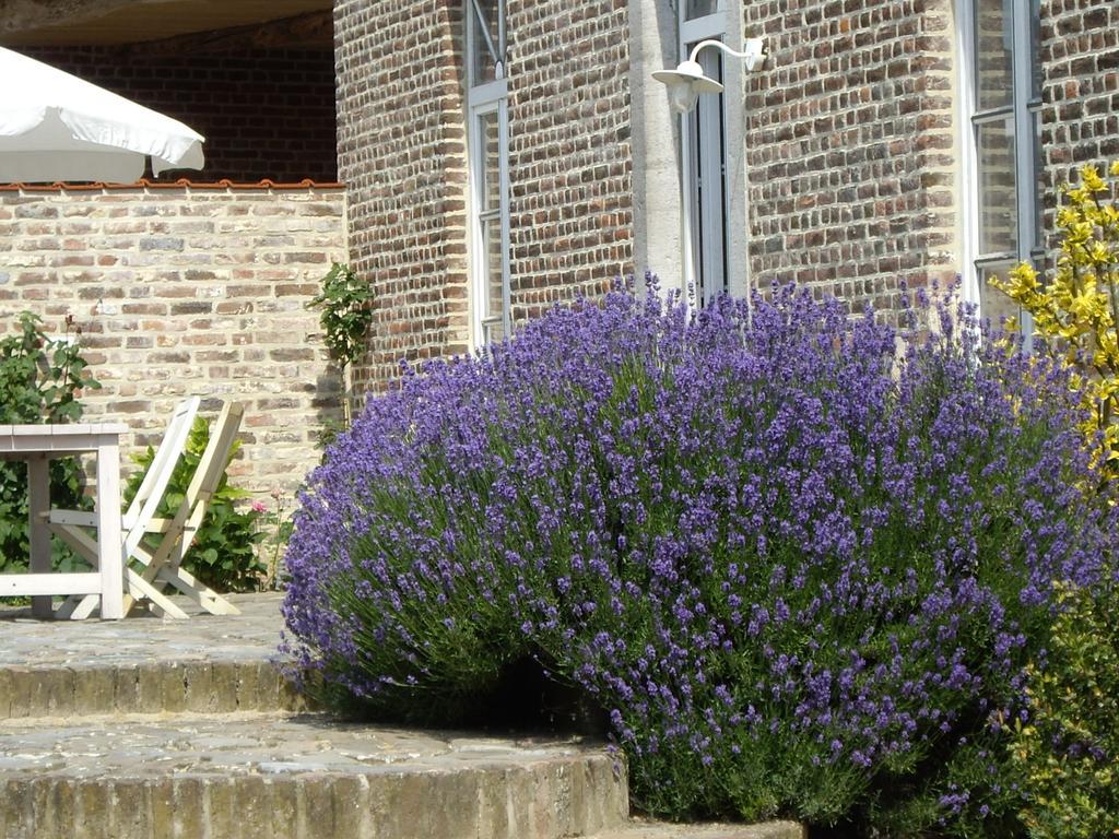 B&B Schoon Goed Gingelom Exterior photo